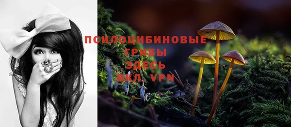 ALPHA-PVP Заволжье