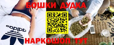 mdpv Лесосибирск