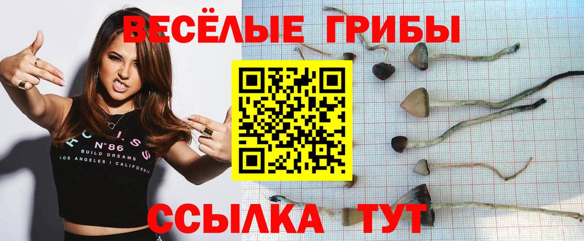 Назарово  Псилоцибиновые грибы прущие грибы  Вход с VPN  Псилоцибиновые грибы мухоморы 