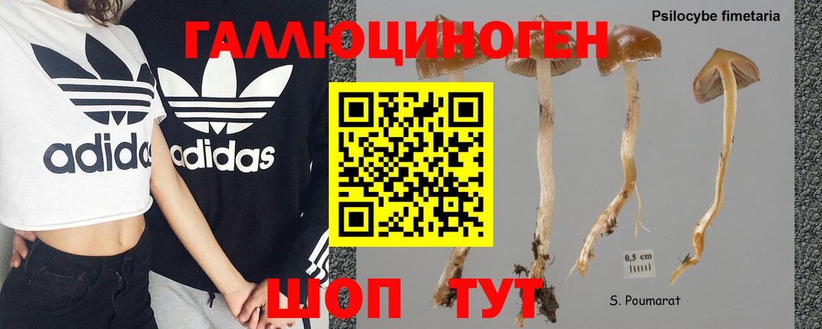 Галлюциногенные грибы MAGIC MUSHROOMS Назарово